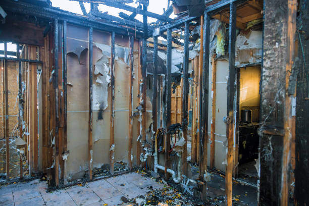 Professional Fire Damage Assessment technician working in Nokomis, FL
