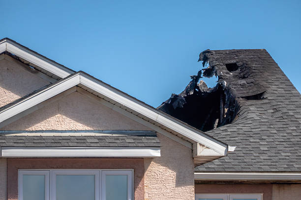 Top rated local Fire Damage Assessment specialists in Nokomis, FL